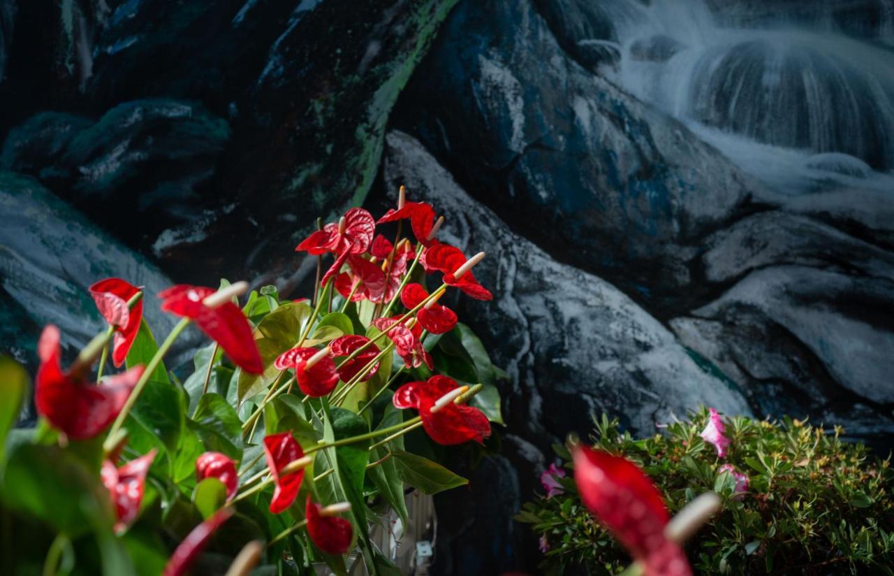 Duy Vinh Hotel Dalat エクステリア 写真